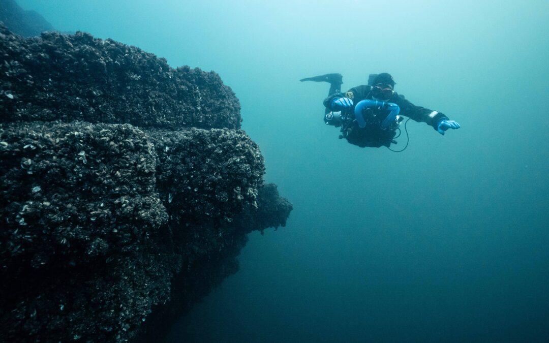 🐟 Sortie Plongée – Rivaz Gare – Fin août 2025